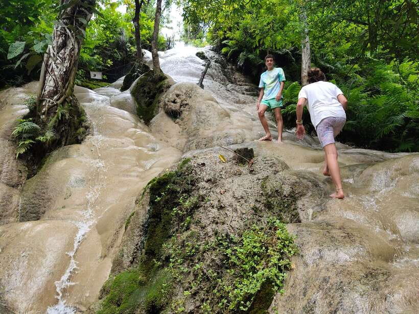 Chiang Mai: Elephants, Sticky Waterfalls, Market and Temple - A local lunch before the elephants