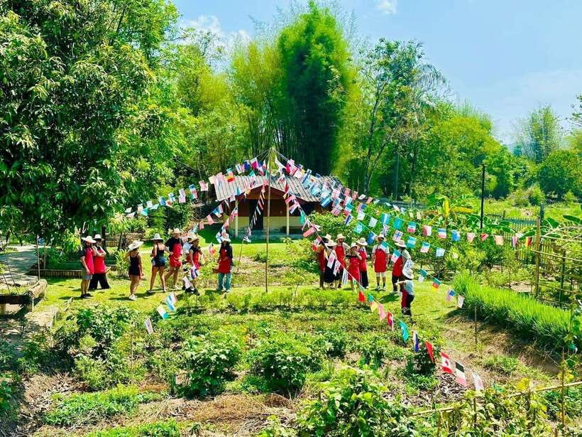 Chiang Mai: Half Day Cooking Class at Organic Farm - Why this class is a good fit for Chiang Mai