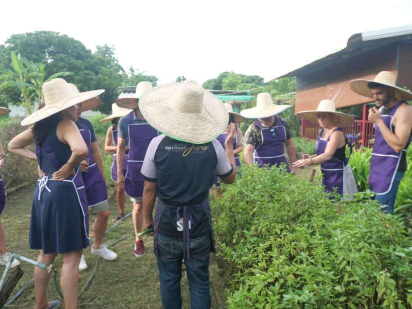 Chiang Mai: Half Day Cooking Class at Organic Farm - Cook at your own station