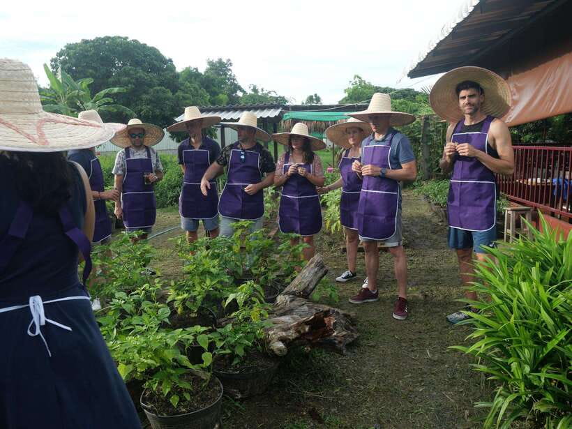 Chiang Mai: Half Day Cooking Class at Organic Farm - Start at the market with ingredients in context