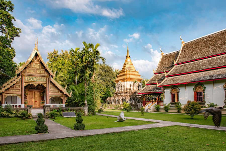 Chiang Mai Light: Tuk Tuk Night Tour with Temples & Markets - Chiang Mai Gate Market and the Flower Market