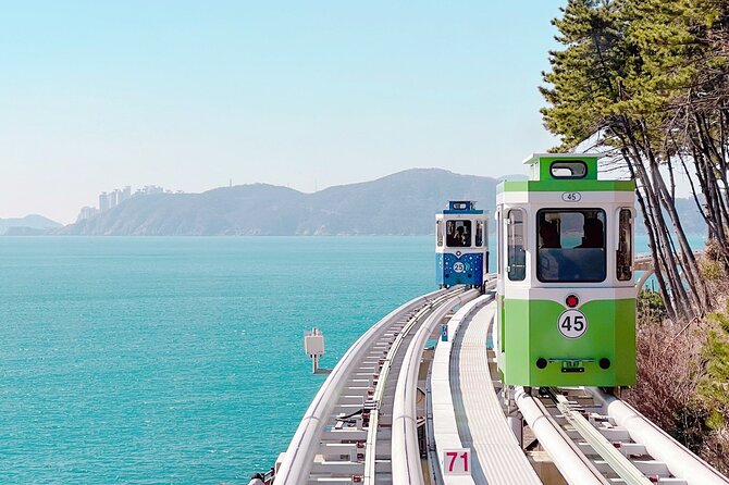 Colors of Busan: Sky Capsule, Jagalchi Market & Night Views - Why this Busan route works so well in one day