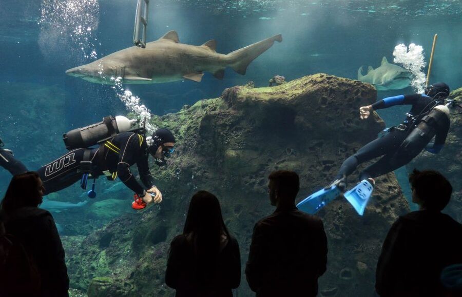 Crete: Heraklion Center, Local Market and Creta Aquarium - Key points at a glance