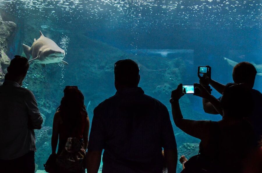 Crete: Heraklion Center, Local Market and Creta Aquarium - What the $23 price really covers