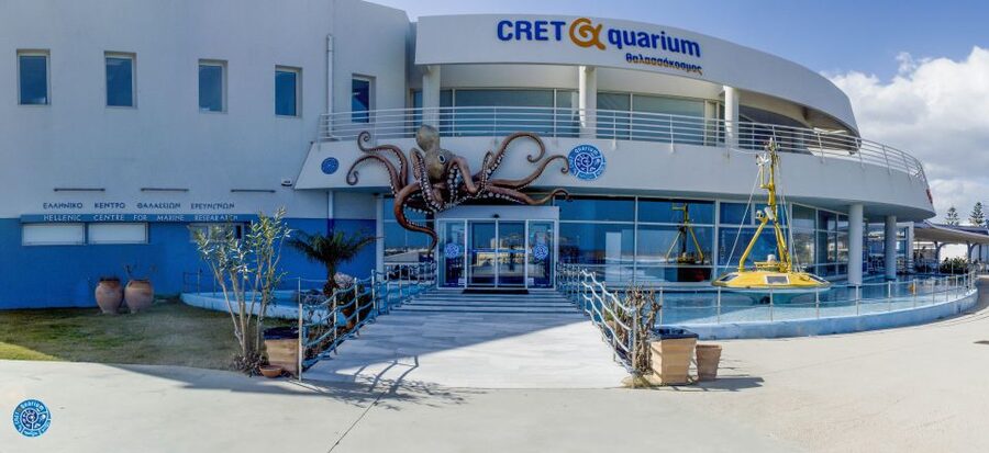 Crete: Heraklion Center, Local Market and Creta Aquarium - The Cretaquarium: good marine life, limited time