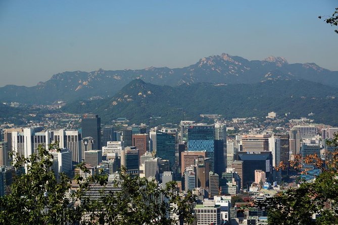 Customized Private Seoul tour: Palace, Market etc(Airport Option) - What this private Seoul tour actually gives you