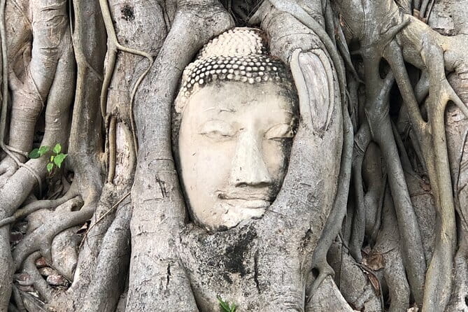 Damnoen Saduak Famous Floating Market and Mea Klong Railway Tour - What the guides add to the day