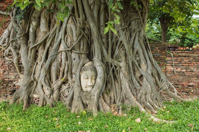 Damnoen Saduak Floating Market & Ayutthaya Tour from Bangkok - Wat Mahathat and Ayutthaya’s famous ruins