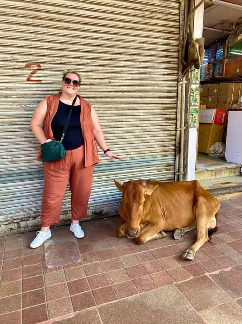 Delhi: Old Delhi's Street Food, Temples & Spice Market Tour - Key points at a glance