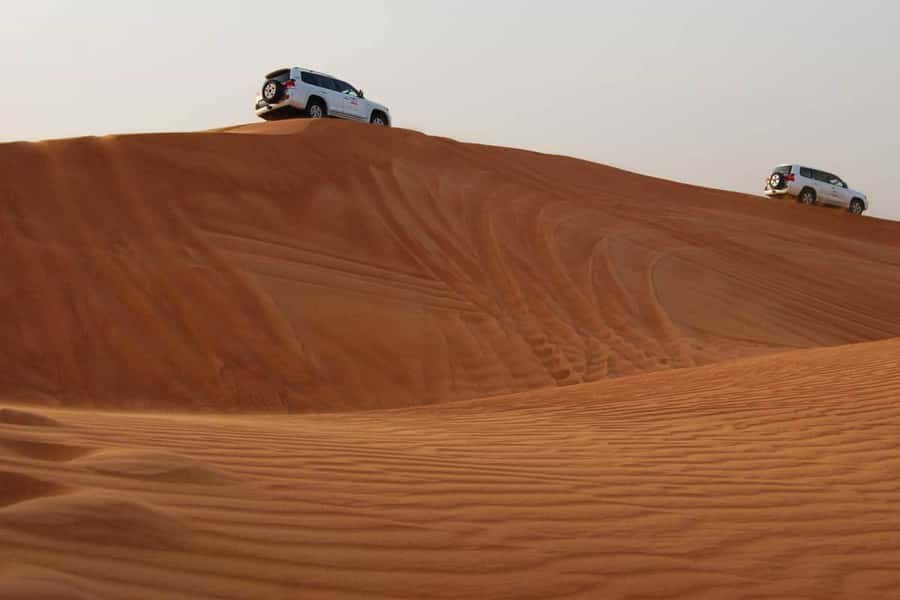 Doha: Combo City Tour, Souq Waqif & 4WD Desert Safari - Two hours of dune bashing and sandboarding