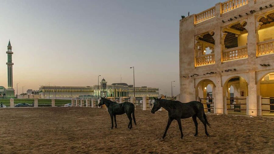 Doha Guided City Tour to Souq Waqif, Katara, & Pearl-Qatar - The guides are the strongest part of the experience