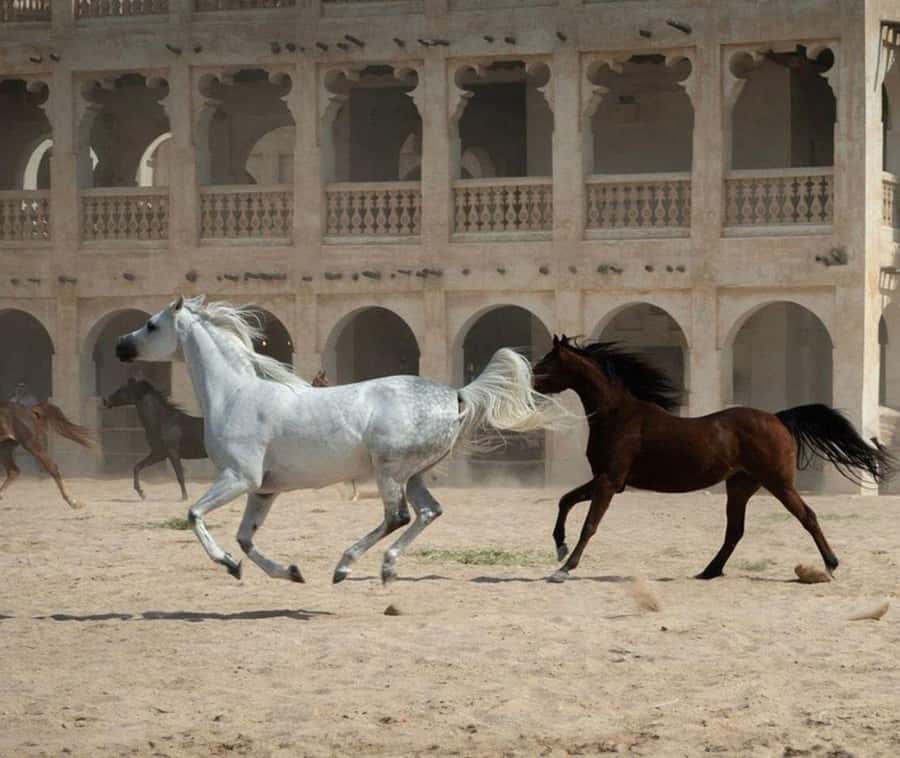 Doha: Souq Waqif Tour & Curated Walk with Guide - Key points at a glance