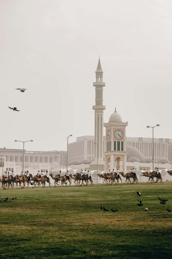 Doha: Visit Cornishe, Pearl, Souq Waqif, Katara, Museum - Doha Corniche: fifteen minutes for the skyline