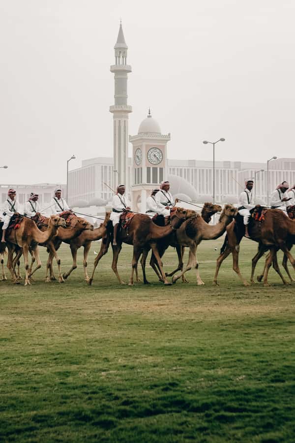 Doha: Visit Souq Waqif, Katara, Pearl, Museum, Cornishe - What this Doha tour is really designed to do
