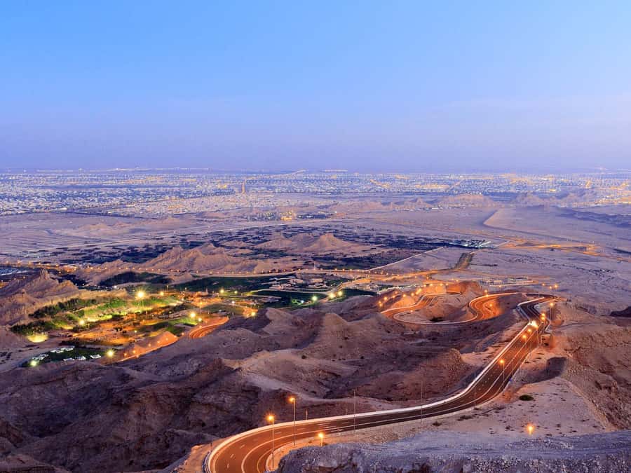Dubai: Al Ain Oasis, Camel Market, Old Museum & Jebel Hafeet - The camel market and the working desert