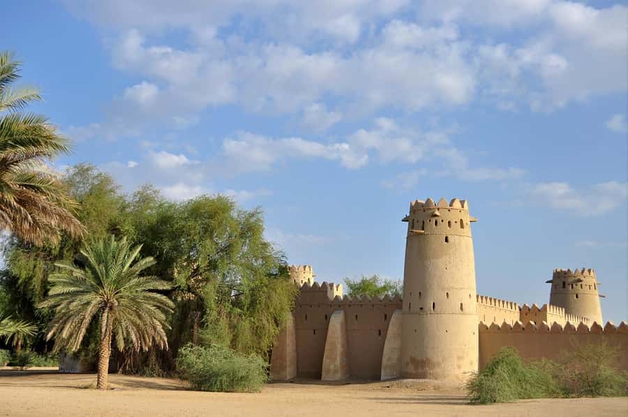 Dubai: Al Ain Oasis, Camel Market, Old Museum & Jebel Hafeet - How much value do you get for $490?