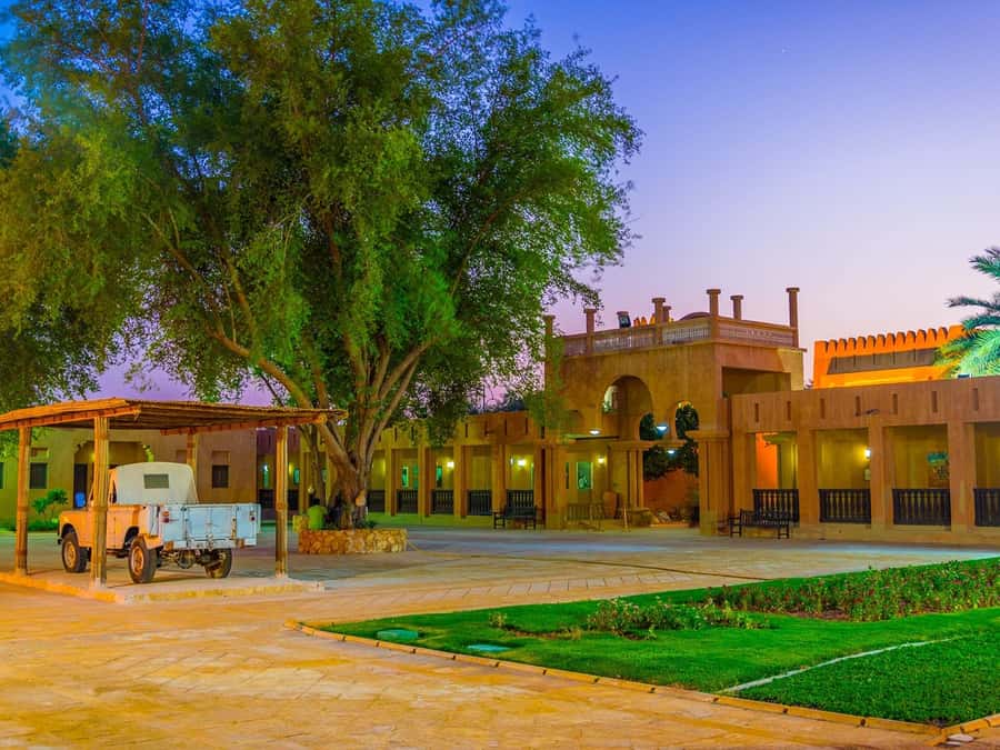 Dubai: Al Ain Oasis, Camel Market, Old Museum & Jebel Hafeet - Who will enjoy this day most?