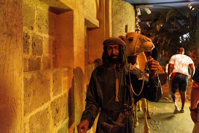 Dubai Half-Day City Tour with Visit to Dubai Gold Souk - What $16 gets you, and what it does not