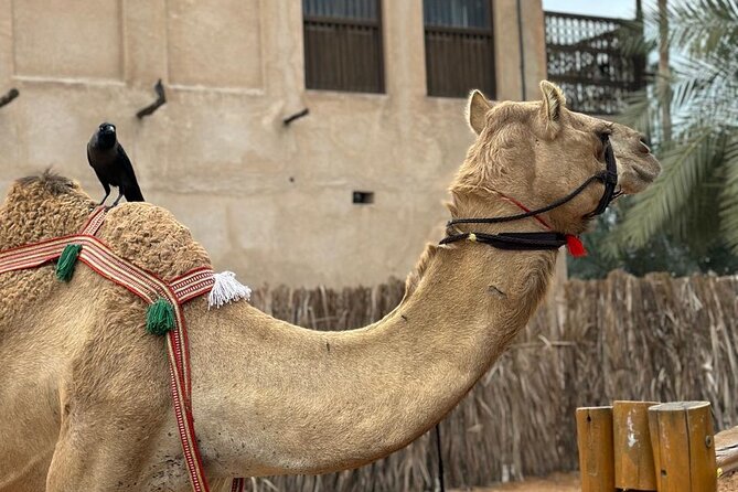 Dubai Old Town Walking Tour with Abra ride, Spice and Gold Souk - Why the private format matters