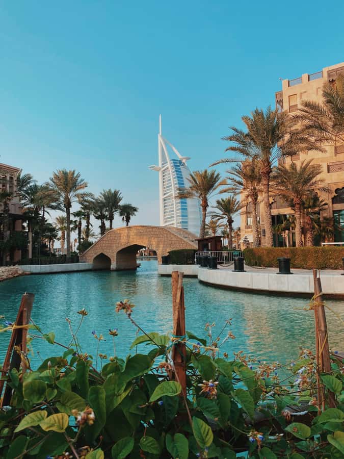 Dubai:Private Frame Entry, Mosque, Souks, Tastings& transfer - Is $190 Per Person Good Value?