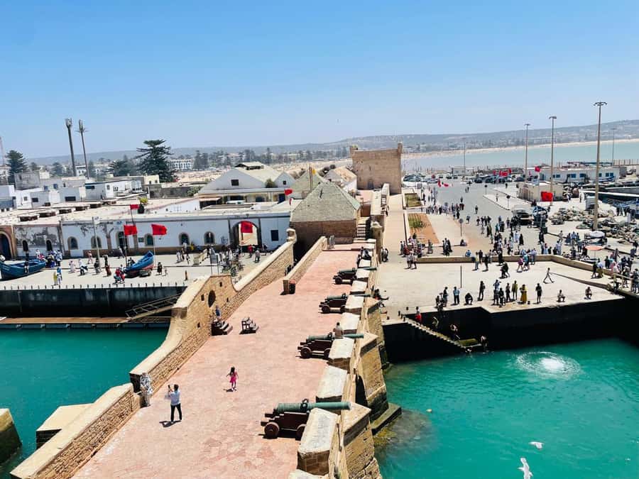 Essaouira: Sqala du Port, Citadel, Fish Market & Medina Tour - Starting at Bab Sbaa and finding your guide
