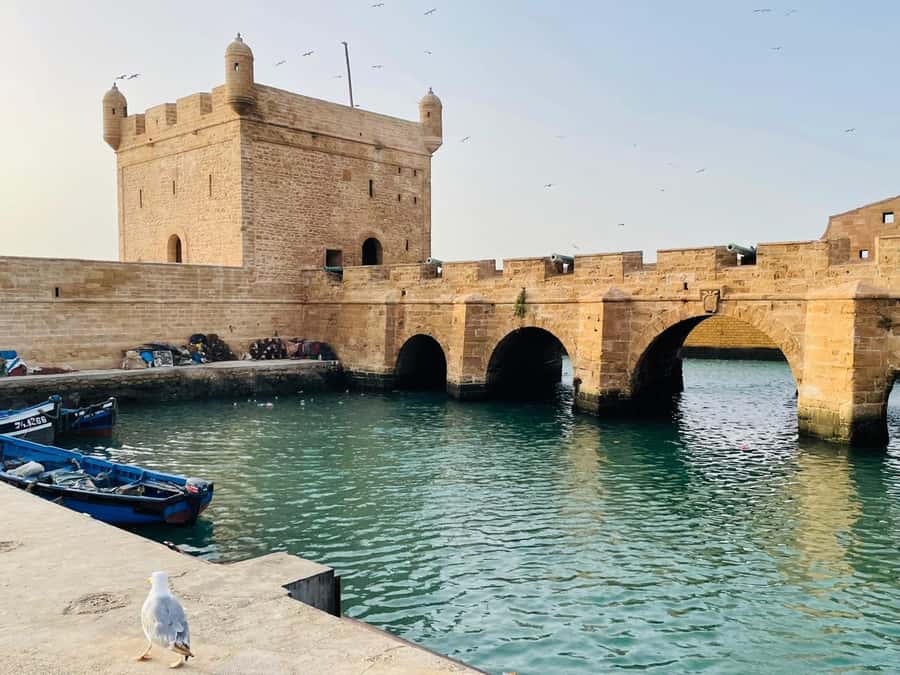 Essaouira: Sqala du Port, Citadel, Fish Market & Medina Tour - One hour inside the Medina