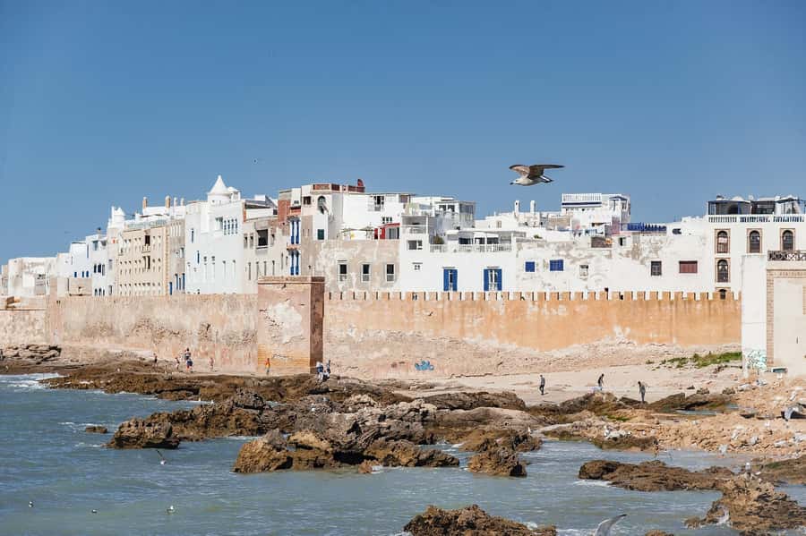 Essaouira: Sqala du Port, Medina Ramparts & Fish Market Tour - Key points at a glance