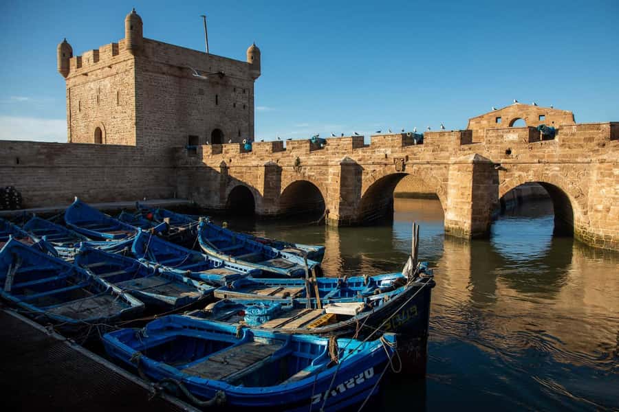 Essaouira: Sqala du Port, Medina Ramparts & Fish Market Tour - What the guides do particularly well