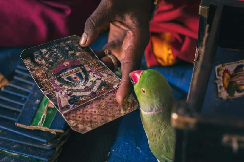 Experience Bangalore - Evening City Walk Tour & Market Visit - What the $37 price gets you
