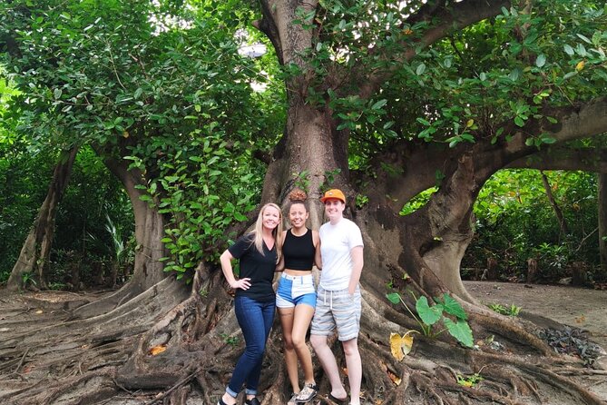 Experience Cancun's Hidden Gems, Mayan museum, cenote & Market 23 - Cooling off at Neen Ha cenote in El Pedregal
