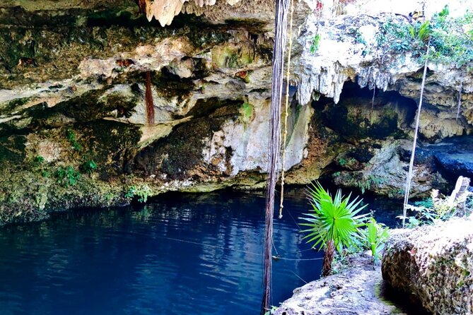 Experience Cancun's Hidden Gems, Mayan museum, cenote & Market 23 - Is $213.35 per person a fair price?