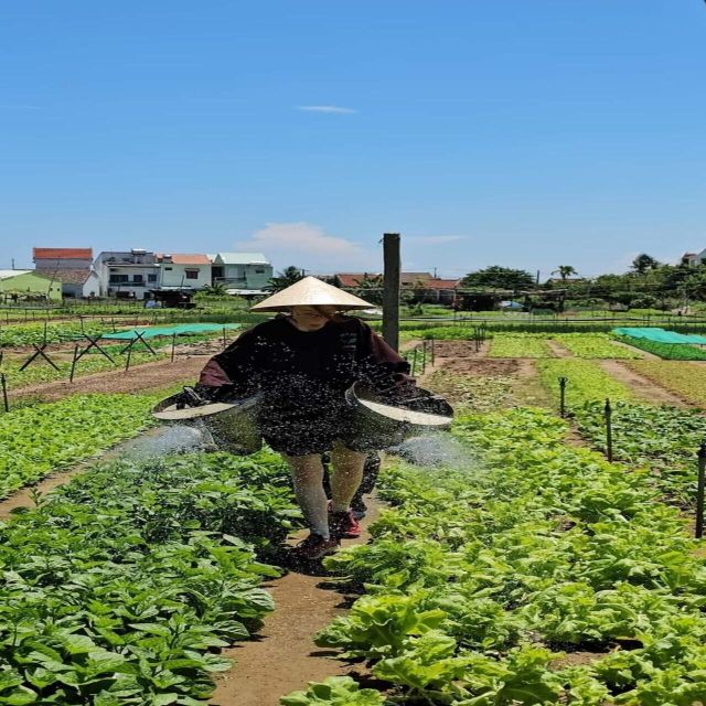 Farming - Local Market - Cooking Class In Tra Que Vegetable - Eating what you prepare