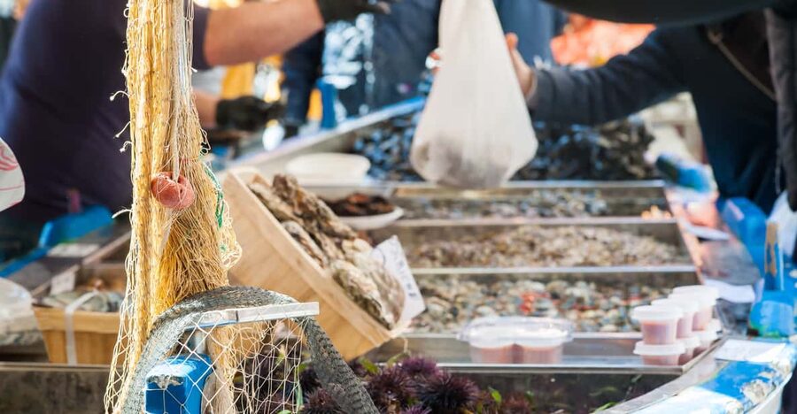 Fasano: Market, Cooking Demo & Meal at a Local's Home - Should You Book the Market and Home Meal?