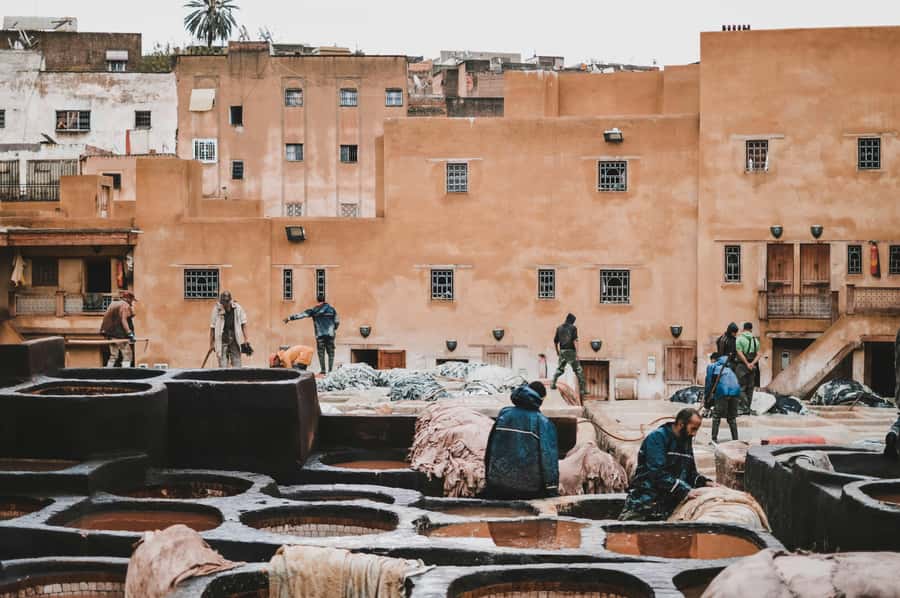 Fes: Royal Palace, Madrasa, Tannery & Souks and Medina Tour - Al-Qarawiyyin and the limits of an outside visit