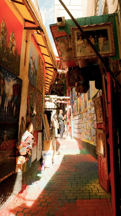 Fes: Royal Palace, Madrasa, Tannery & Souks and Medina Tour - How to get the best value from the $15 price