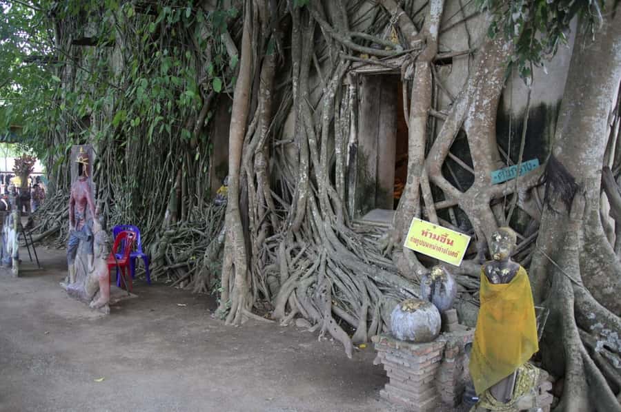Floating Market Full-Day Bicycle Tour from Bangkok - Cycling through the Mae Klong River delta