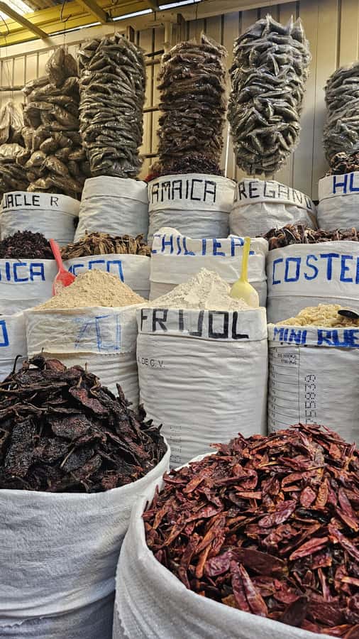 Food Tour at the Mercado de Abastos - Grasshoppers, chicatanas, and ants