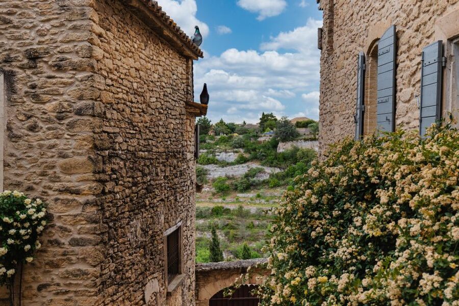 From Aix-en-Provence: Luberon Market & Villages Day Tour - Apt and the taste of candied fruit