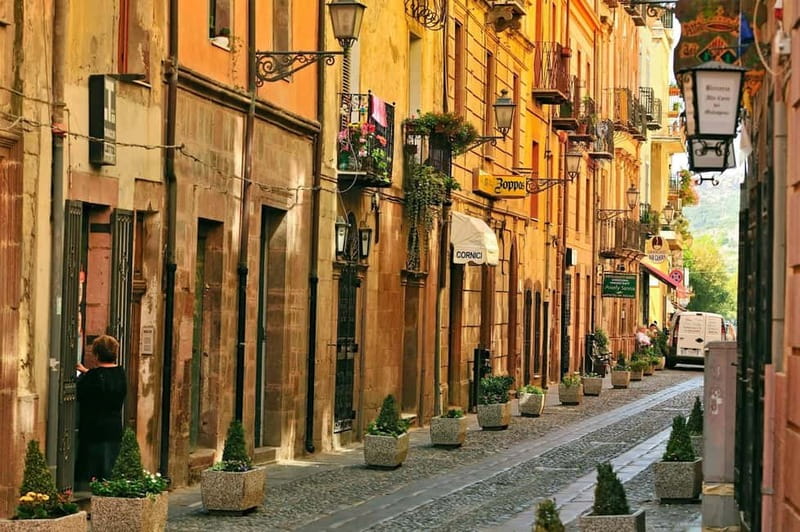 From Alghero: Market day in Bosa - What to expect at the market