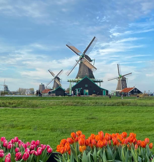 From Amsterdam; Alkmaar Cheese market & Zaanse Schans - Should you book it?