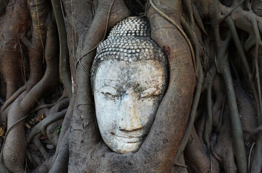 From Bangkok: Floating Market & Ayutthaya Private Day Trip - Damnoen Saduak Floating Market
