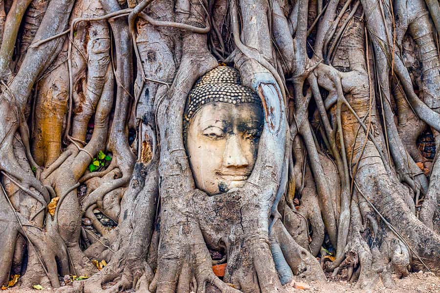 From Bangkok: Markets and Ayutthaya Tour - What the $128 price really covers