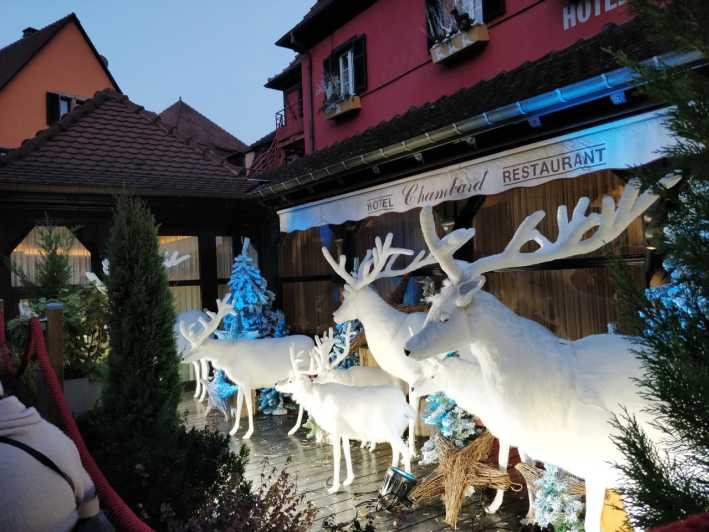 From Colmar: Christmas Markets Across 3 Borders - Freiburg: German tradition in the old town