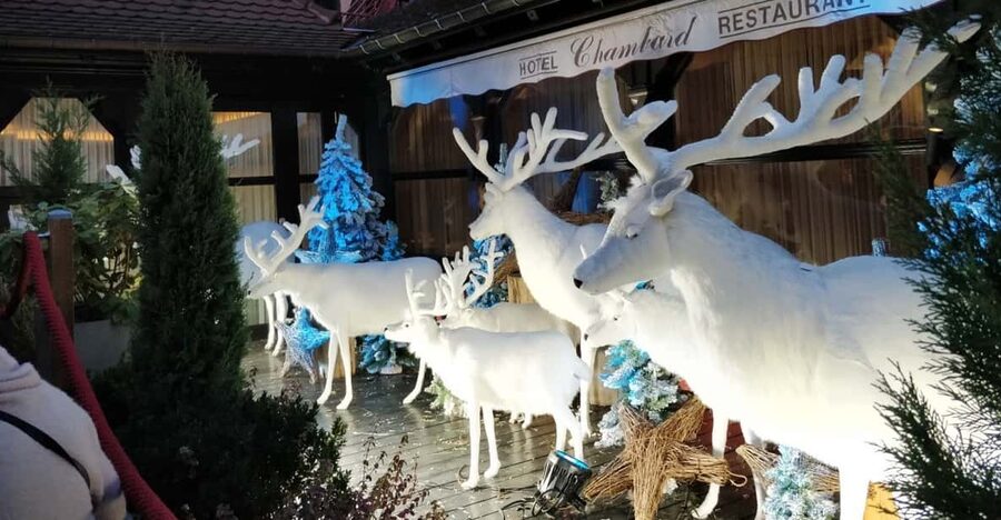 From Colmar: Christmas Markets Across 3 Borders - Who should book this experience?