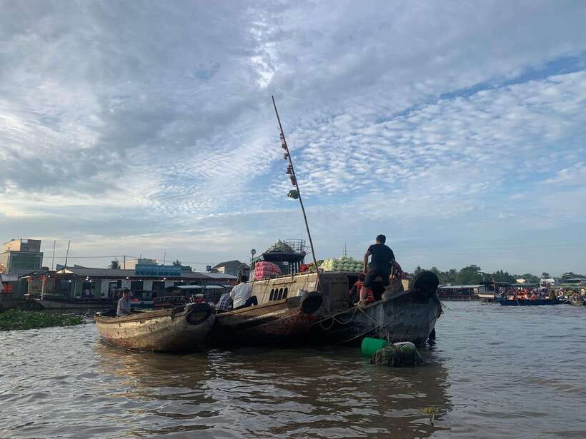 From HCM 1-day Cai Rang floating market local mekong village - Canals, palms, and the rice noodle stop