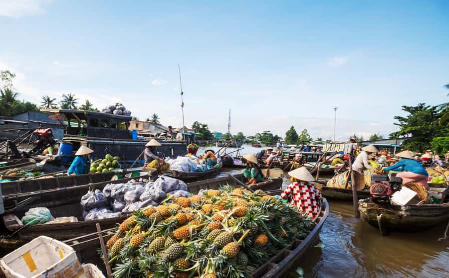 From HCM: Mekong Delta & Cai Rang Floating Market 2-Day Tour - The essential details at a glance