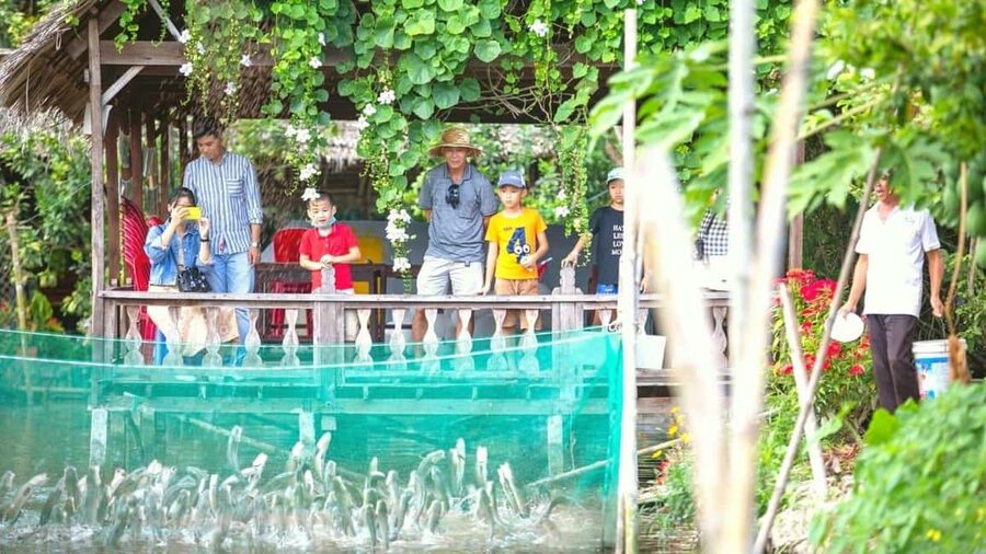 From Ho Chi Minh: Mekong and Cai Rang Floating Market 1 Day - What changes on the group itinerary at Son Islet