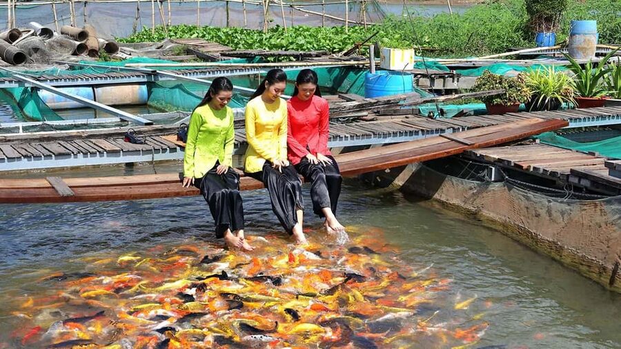 From Ho Chi Minh: Mekong and Cai Rang Floating Market 1 Day - Is $98 good value for one day?