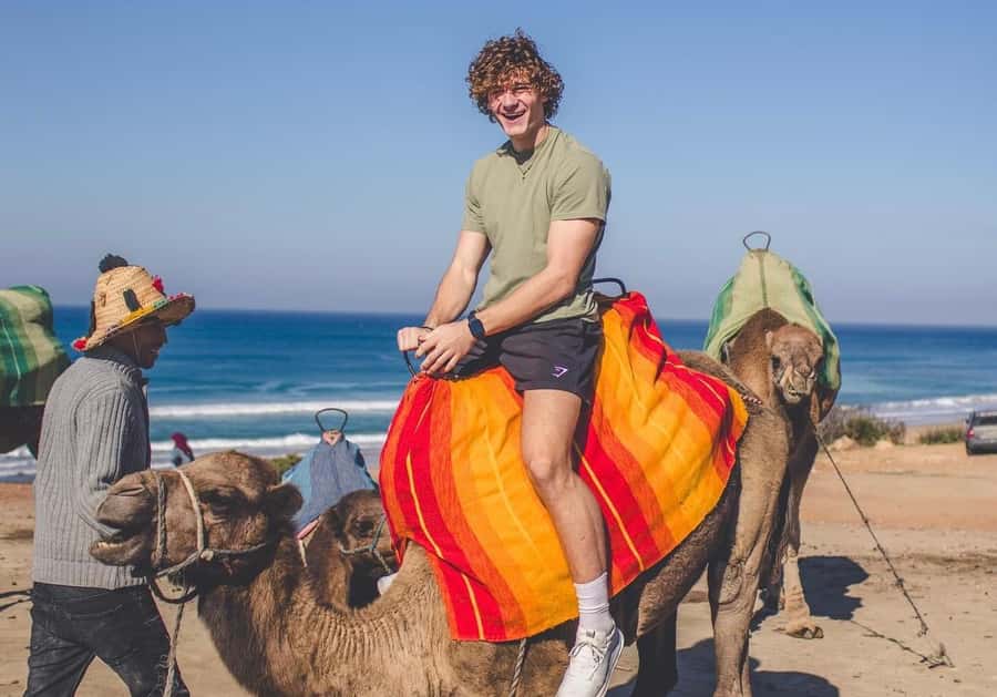 From Marbella: Tangier Day Trip with Ferry, Camel & Souks - Key points to know before you book