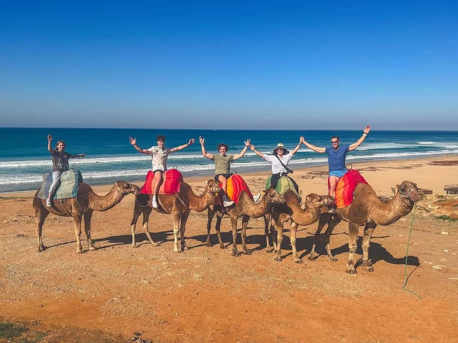 From Marbella: Tangier Day Trip with Ferry, Camel & Souks - Cap Spartel and the meeting of two coasts